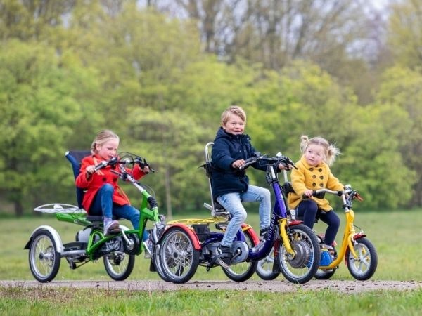 van raam therapy tricycle for children